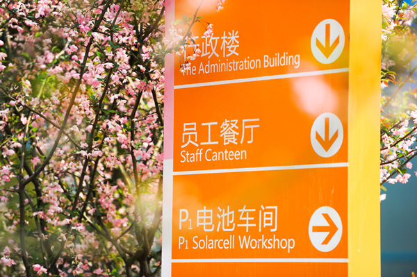 Bevictor伟德官网-韦德(中国)体育-伟大始于1946