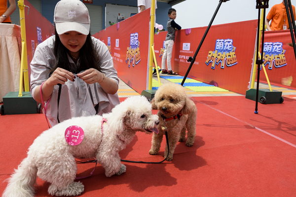 Bevictor伟德官网-韦德(中国)体育-伟大始于1946
