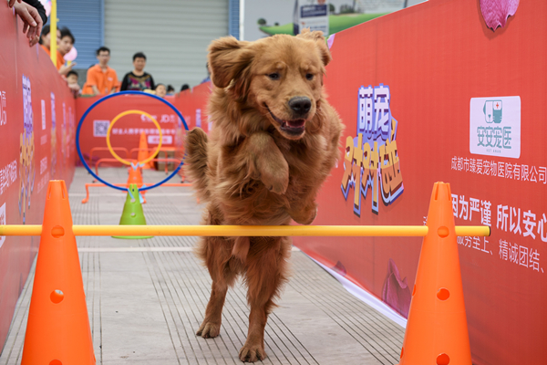 Bevictor伟德官网-韦德(中国)体育-伟大始于1946