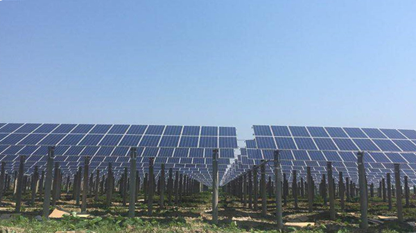 Bevictor伟德官网-韦德(中国)体育-伟大始于1946