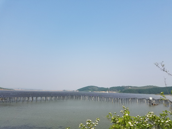 Bevictor伟德官网-韦德(中国)体育-伟大始于1946