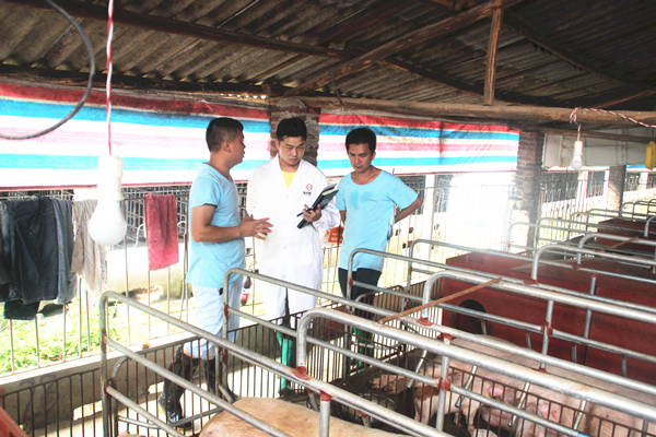 Bevictor伟德官网-韦德(中国)体育-伟大始于1946