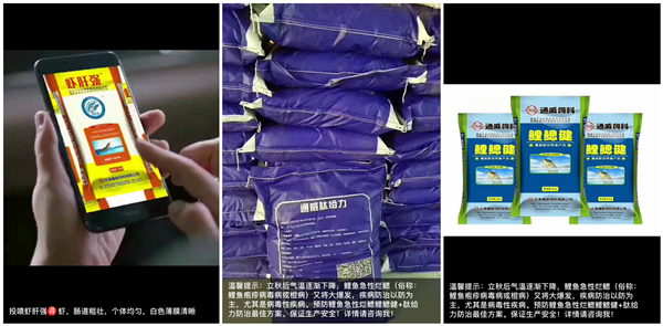 Bevictor伟德官网-韦德(中国)体育-伟大始于1946